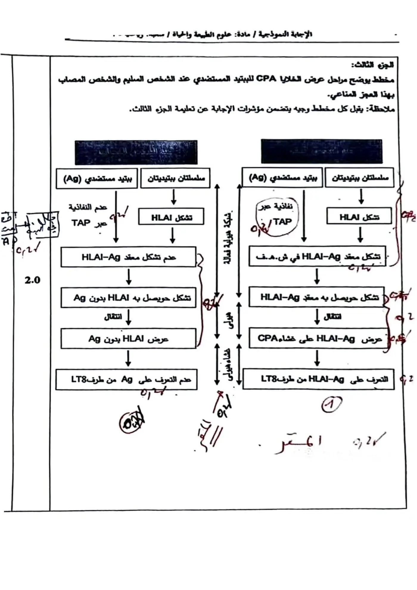 الصفحة 4 من 7