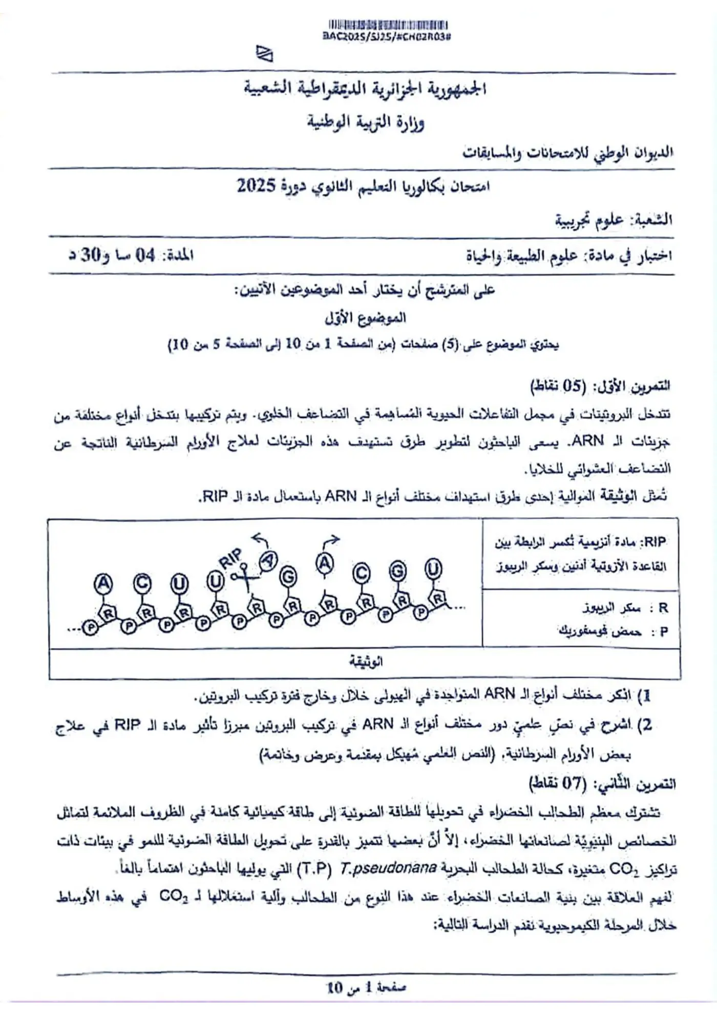 الصفحة 1 من 10