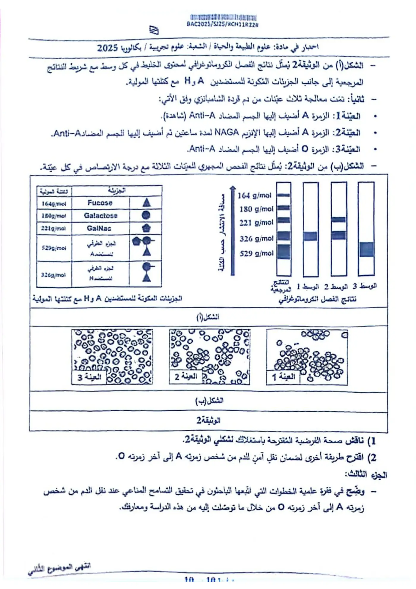 الصفحة 10 من 10
