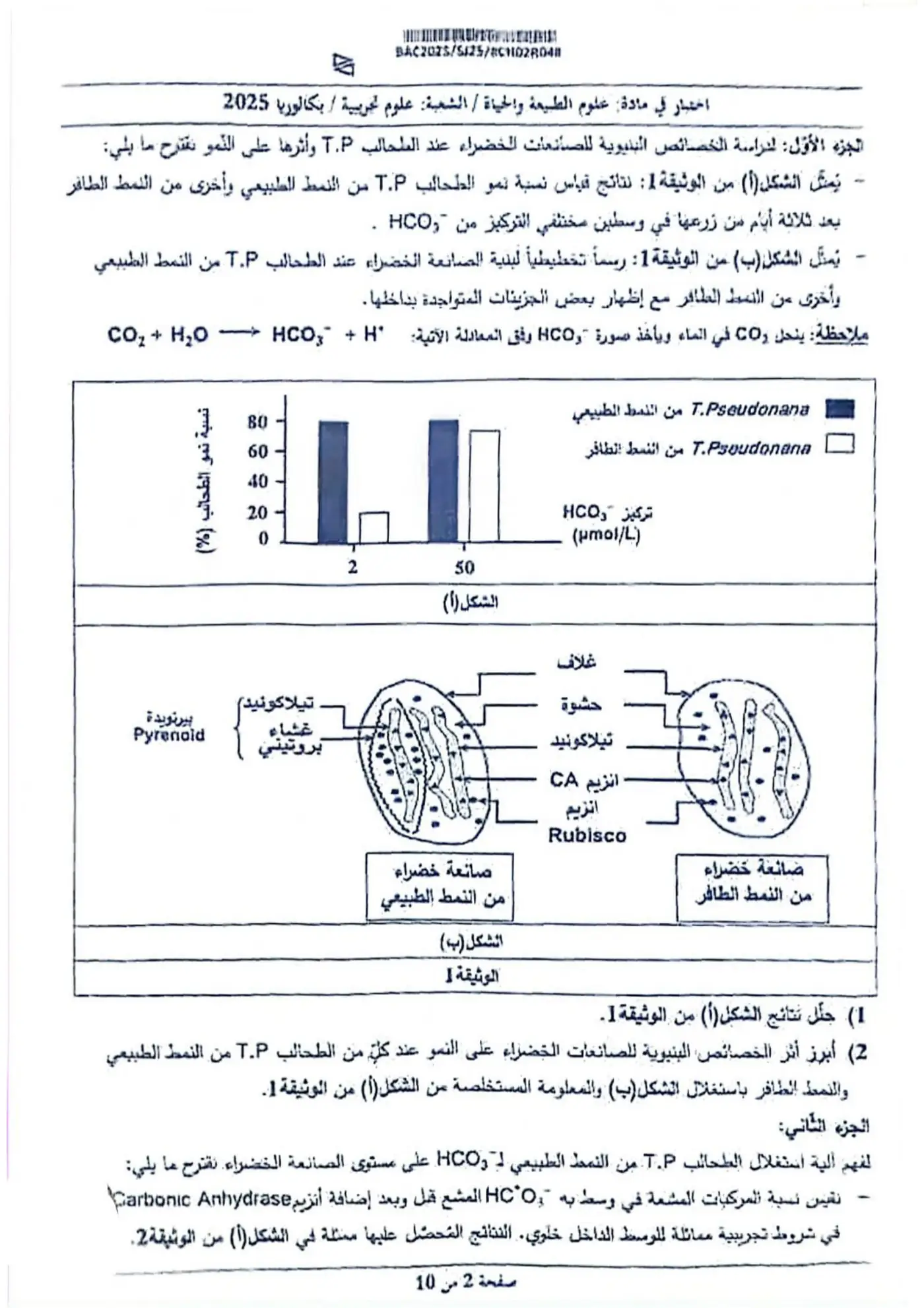 الصفحة 2 من 10
