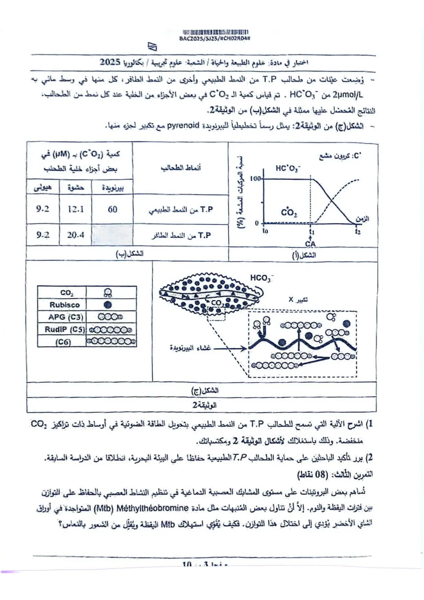 الصفحة 3 من 10
