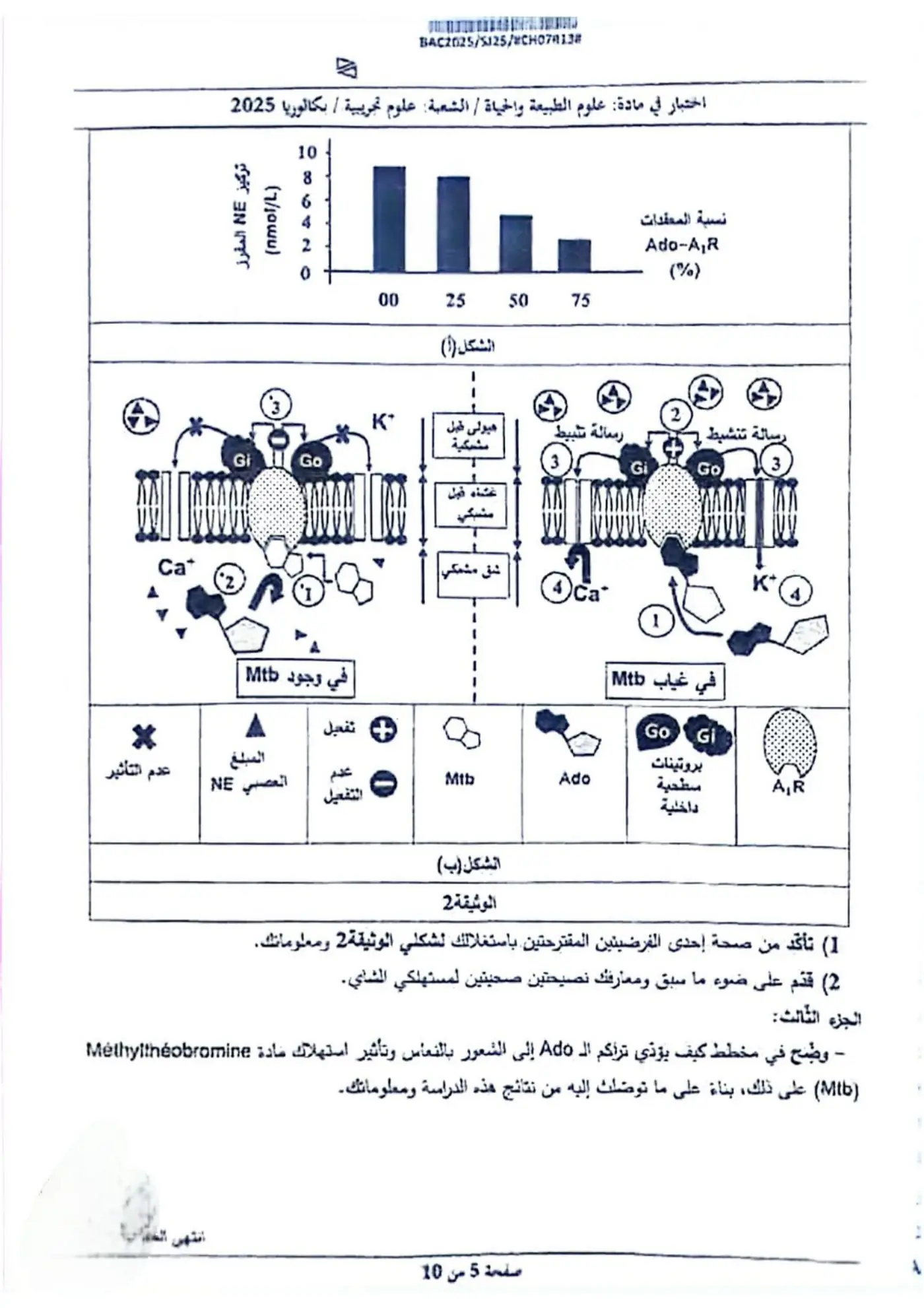 الصفحة 5 من 10