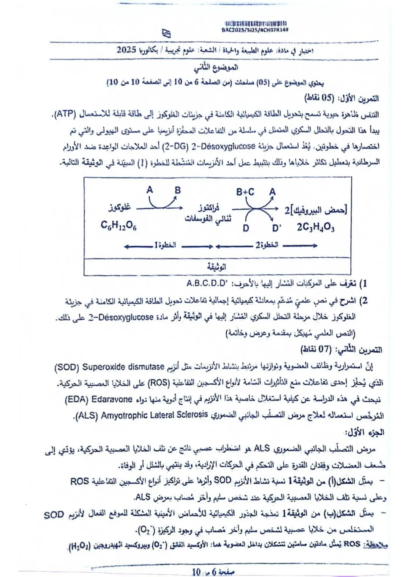 الصفحة 6 من 10