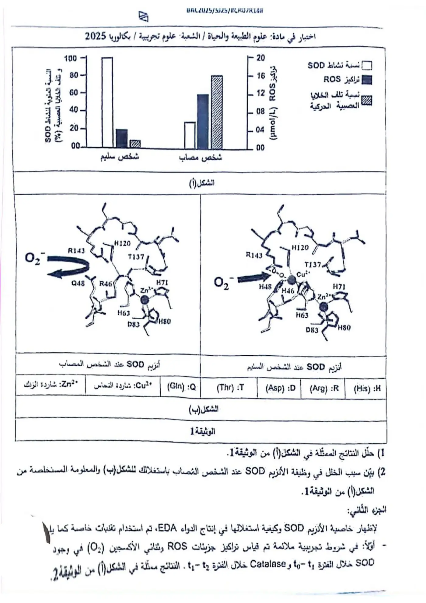 الصفحة 7 من 10