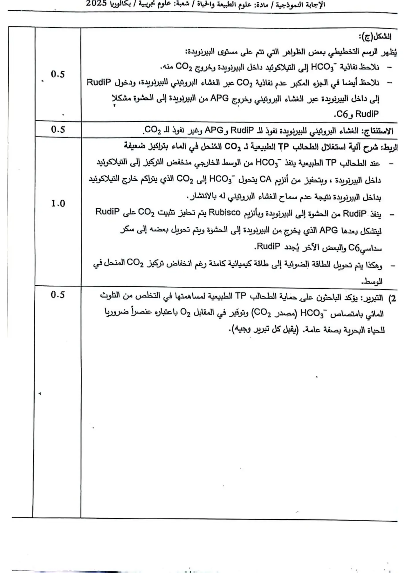 الصفحة 3 من 12