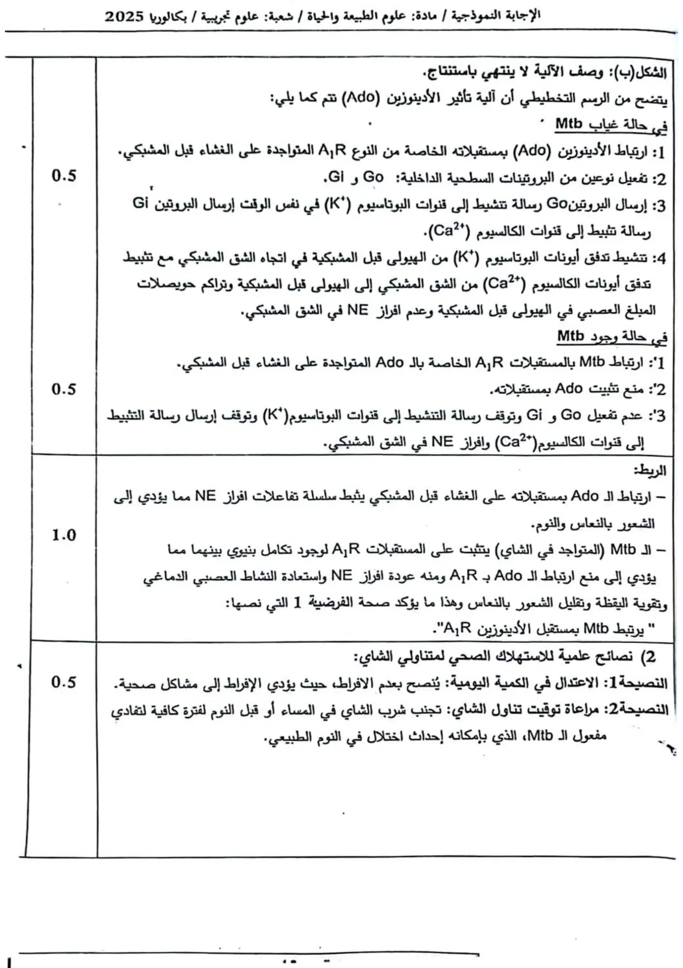 الصفحة 5 من 12