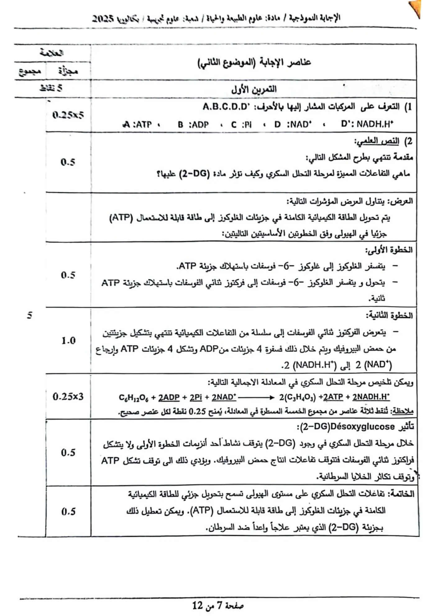 الصفحة 7 من 12