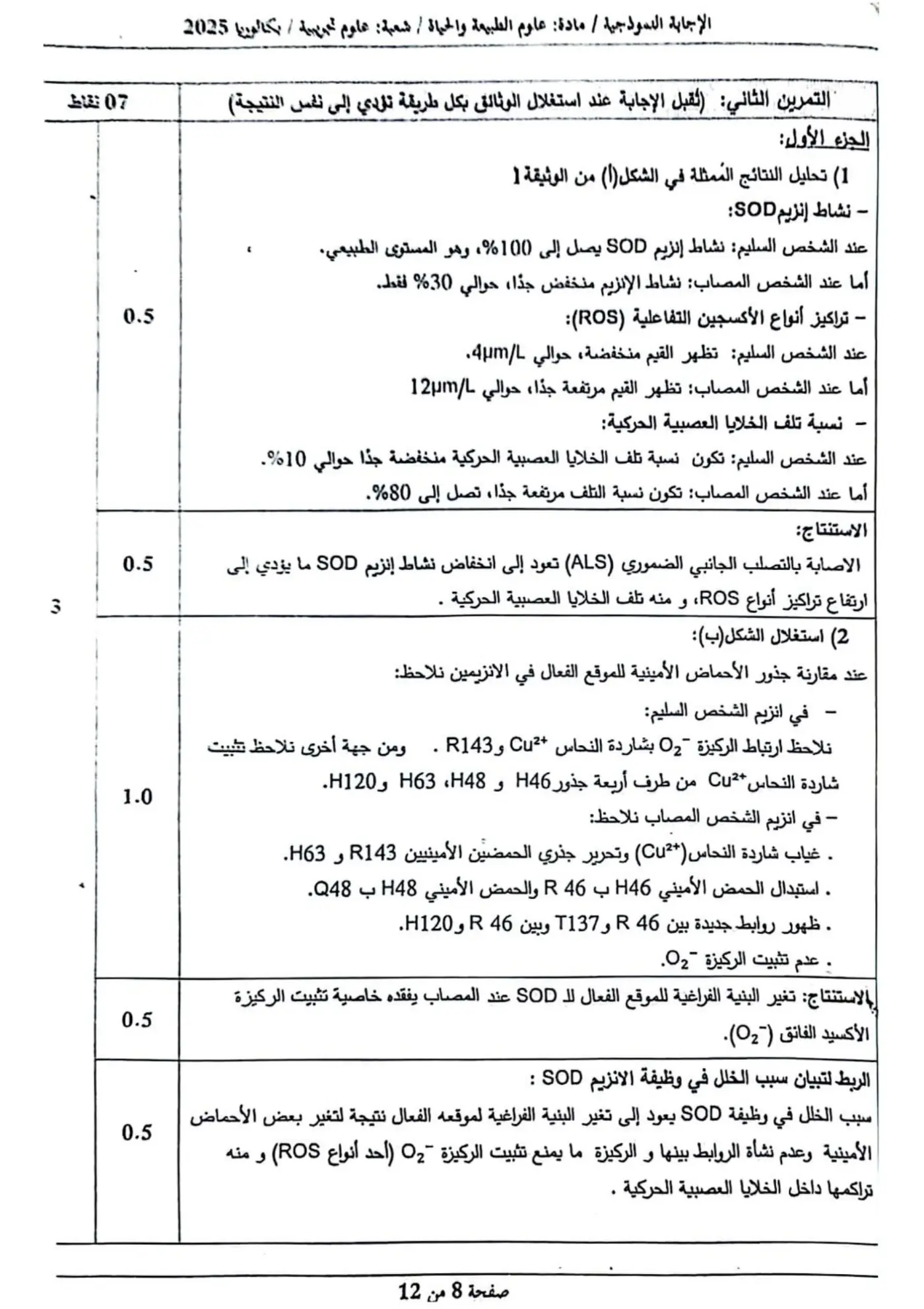 الصفحة 8 من 12