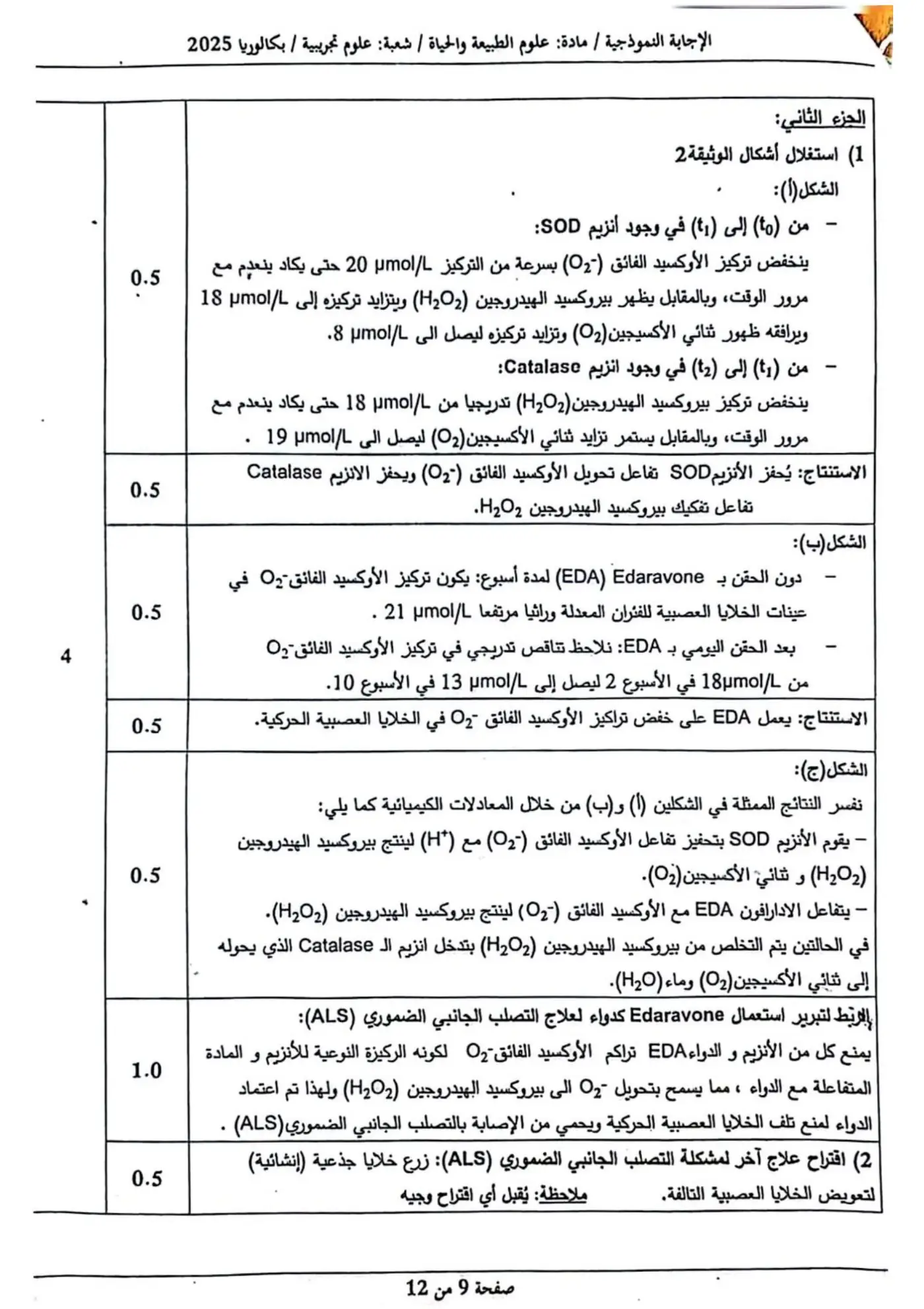 الصفحة 9 من 12