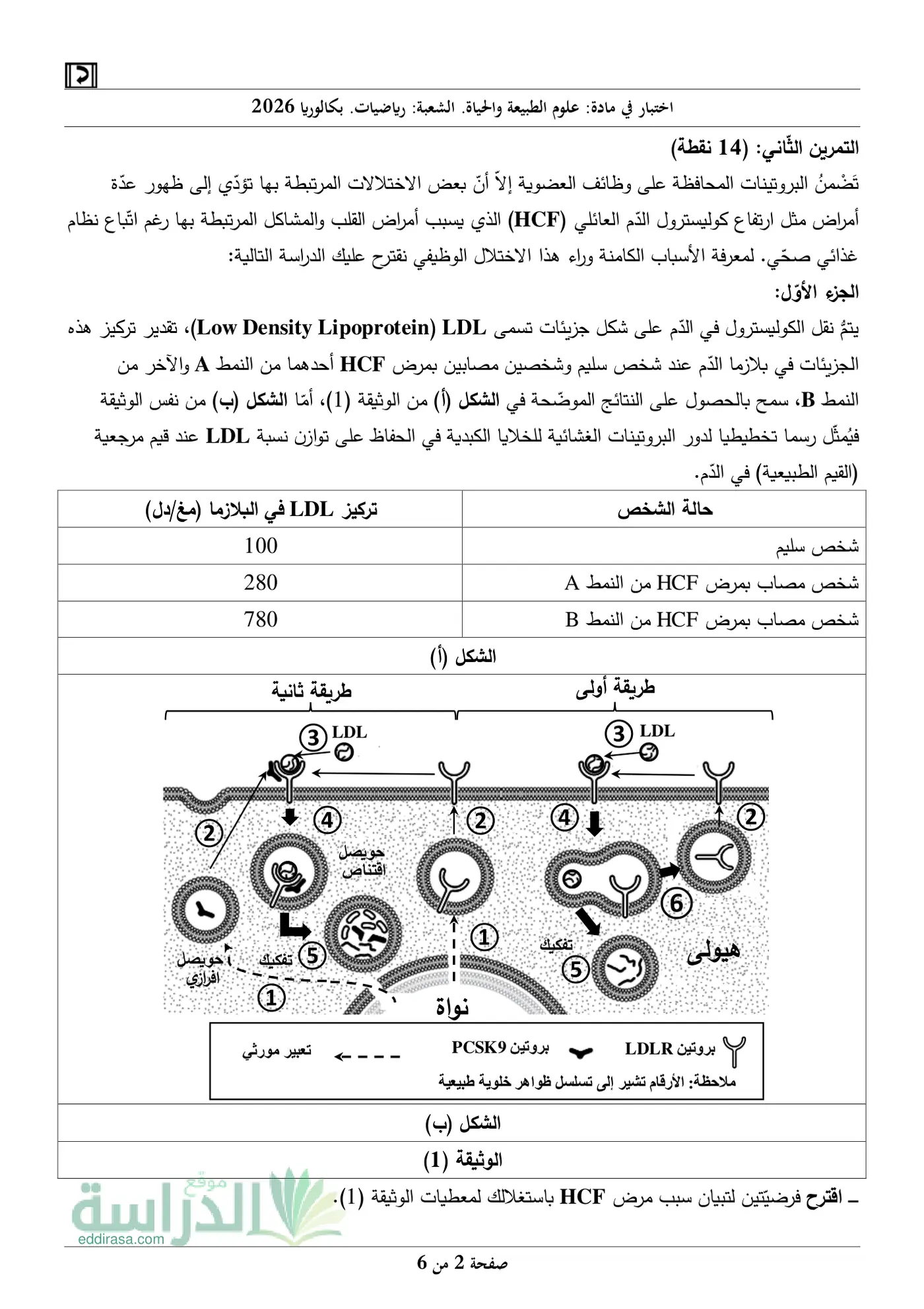 الصفحة 2 من 6