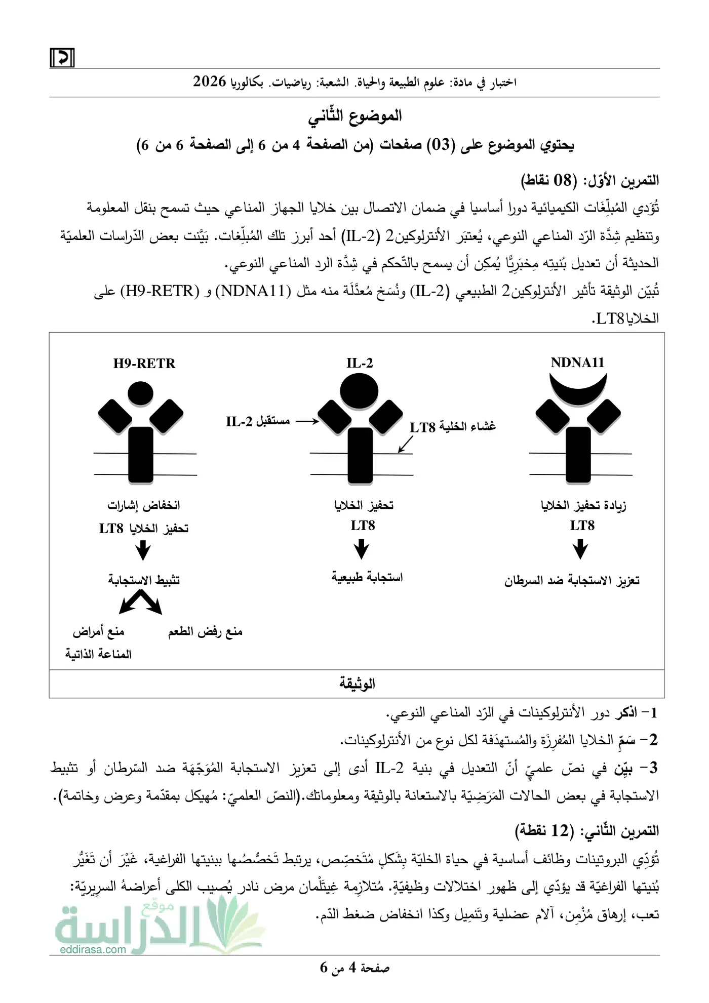 الصفحة 4 من 6