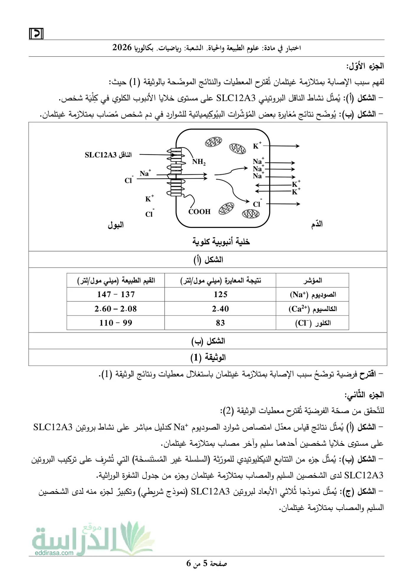 الصفحة 5 من 6