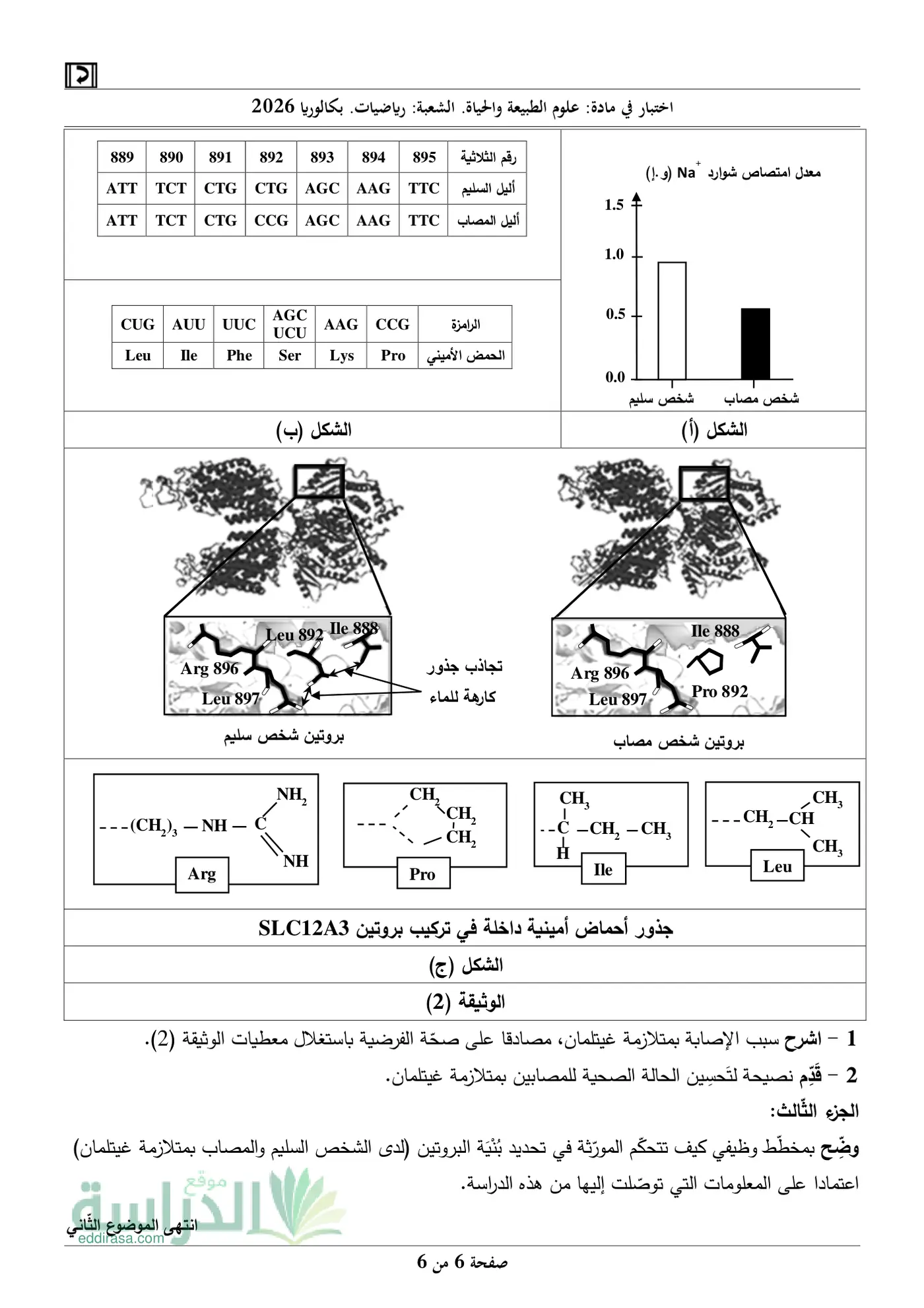 الصفحة 6 من 6