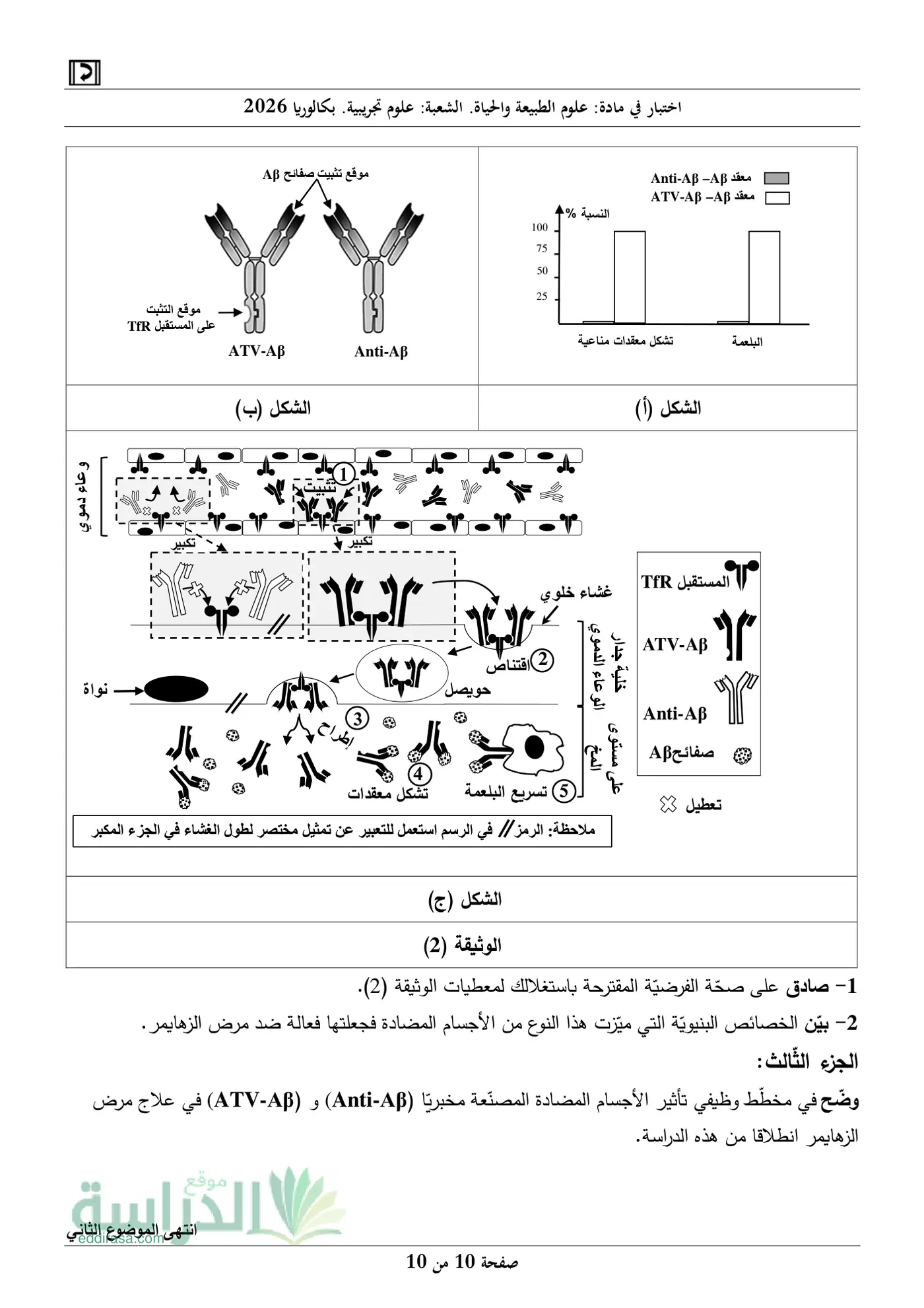 الصفحة 10 من 10