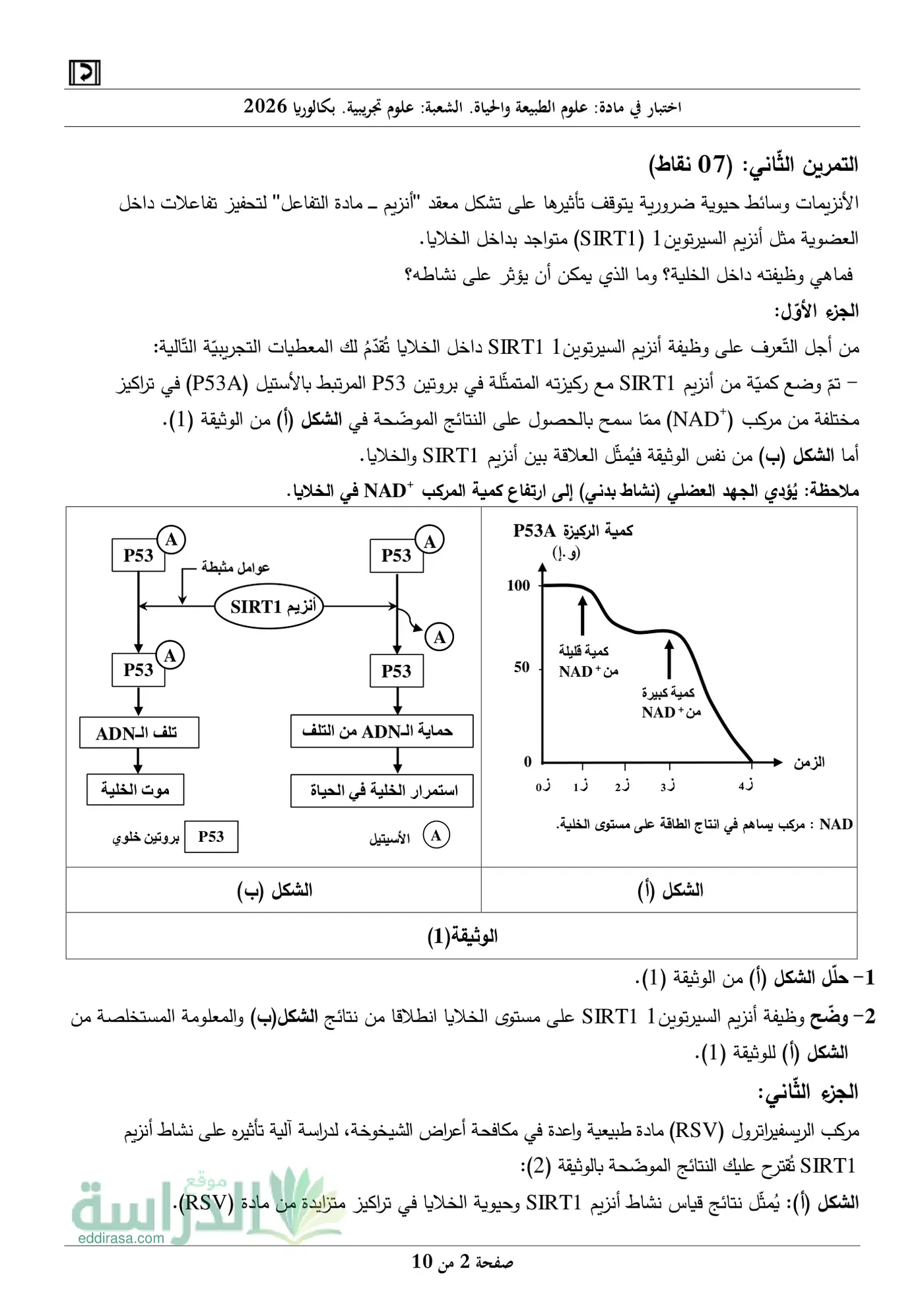 الصفحة 2 من 10