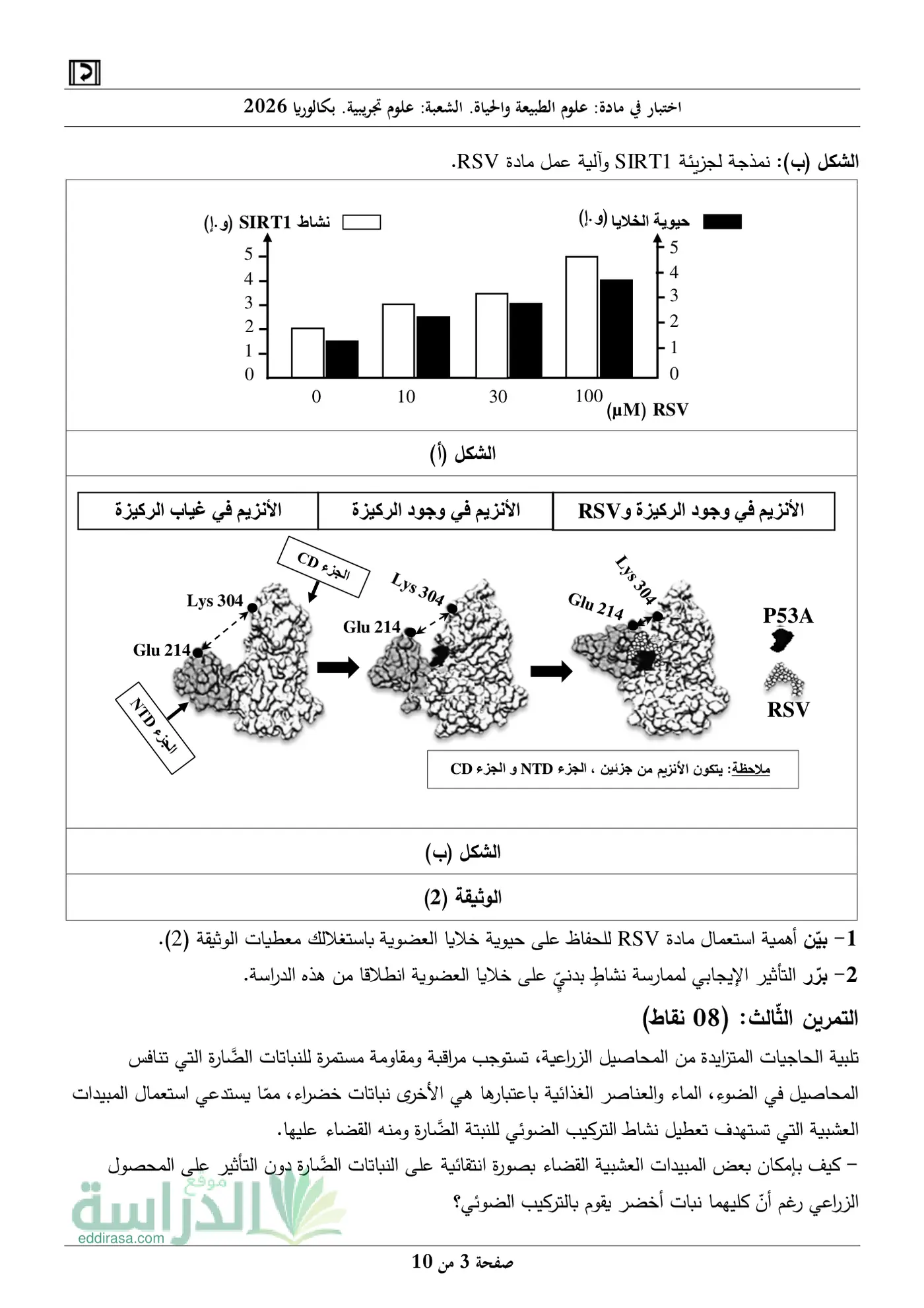 الصفحة 3 من 10