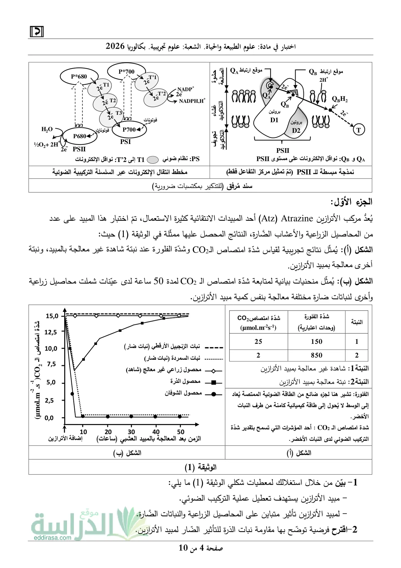 الصفحة 4 من 10
