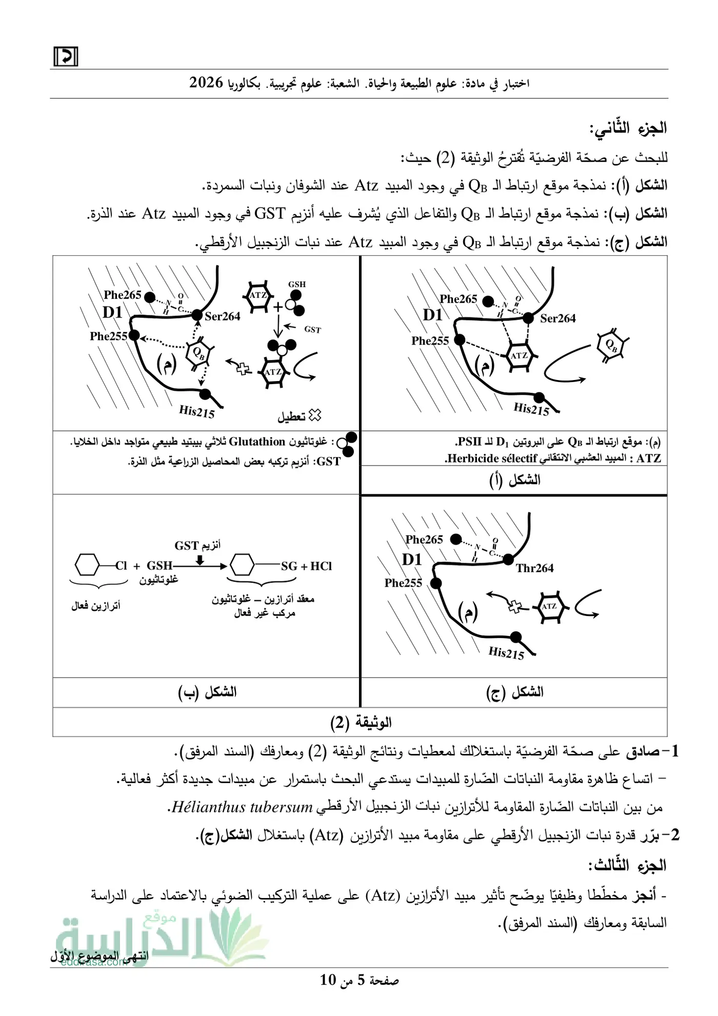 الصفحة 5 من 10
