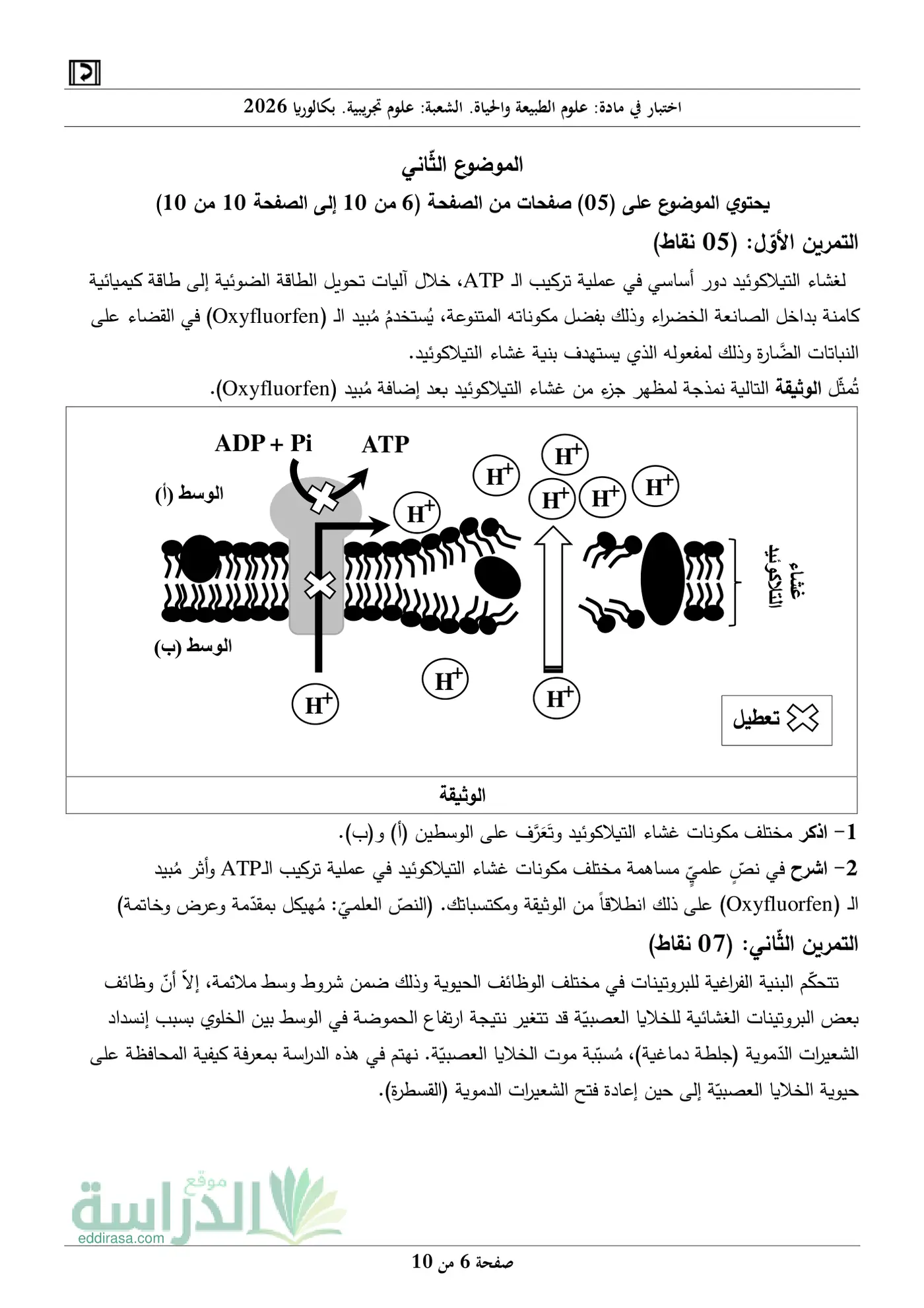 الصفحة 6 من 10