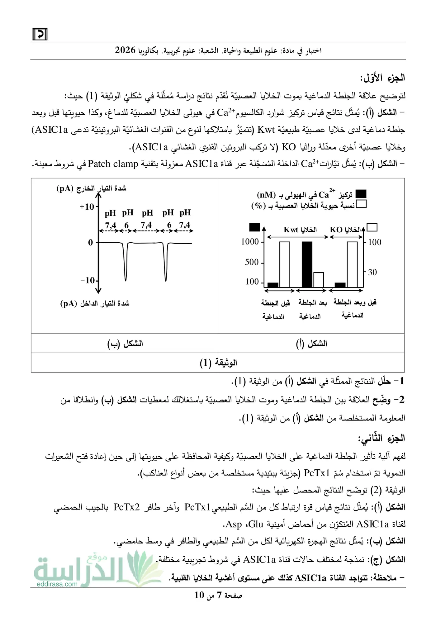 الصفحة 7 من 10