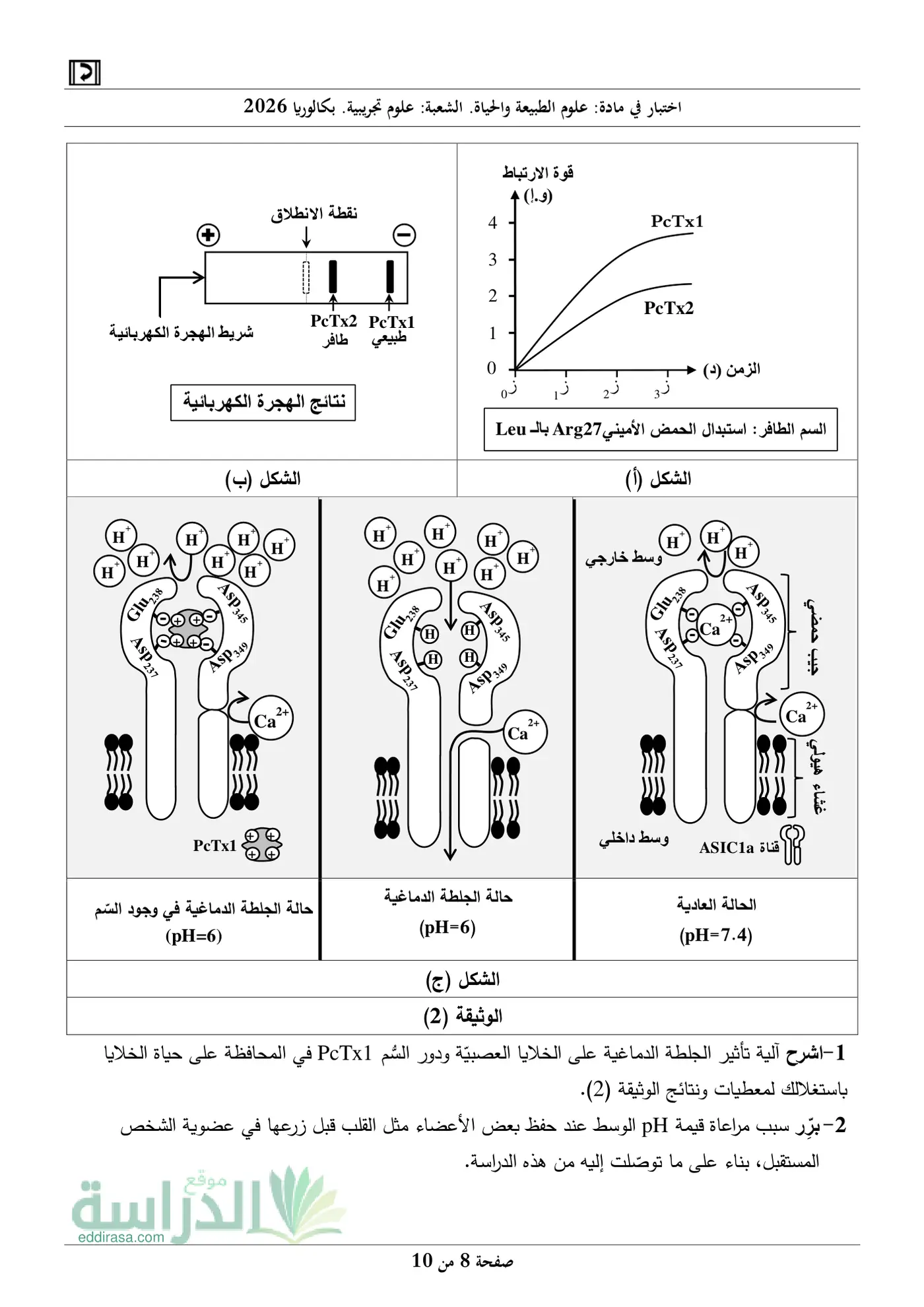 الصفحة 8 من 10