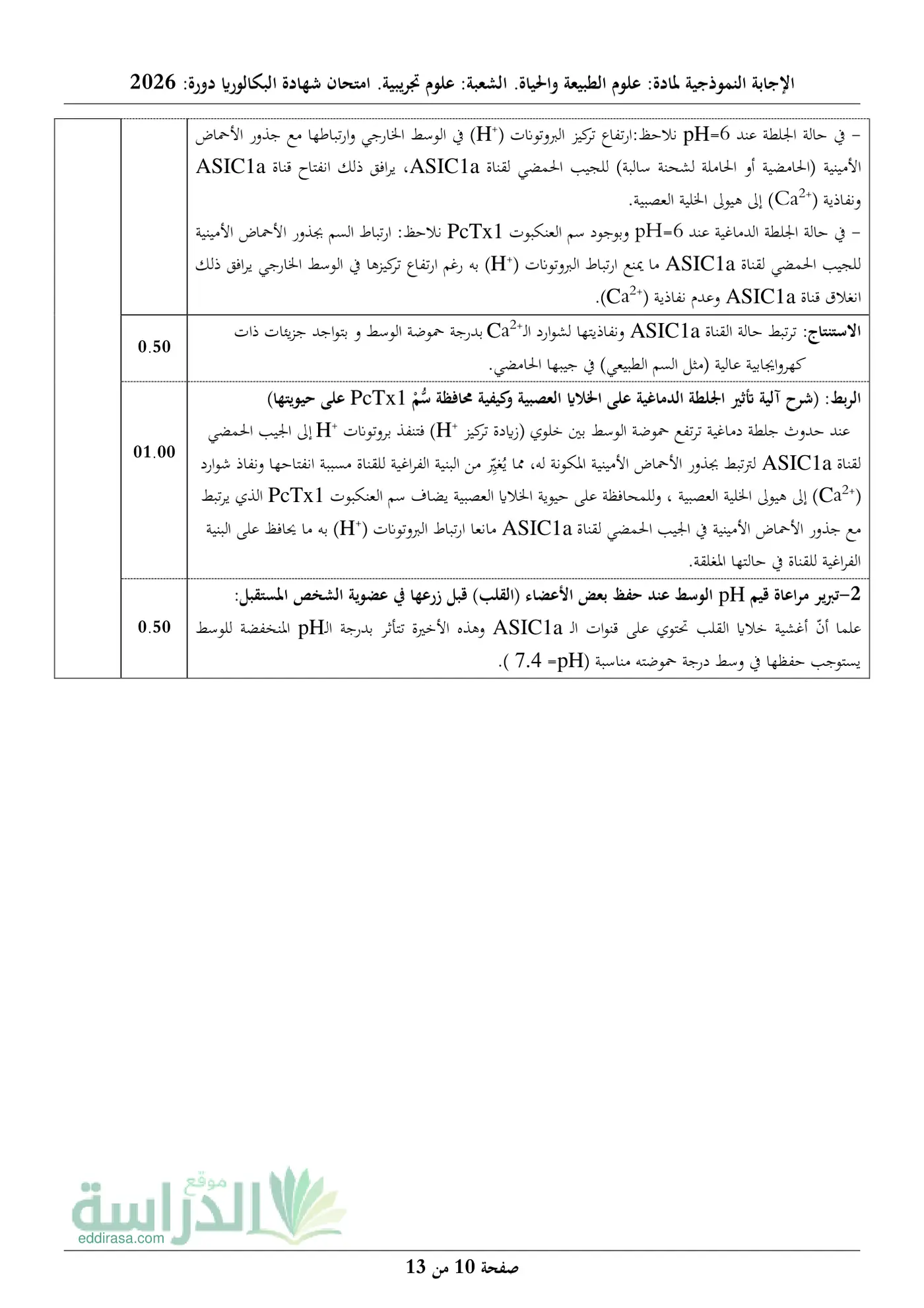 الصفحة 10 من 13