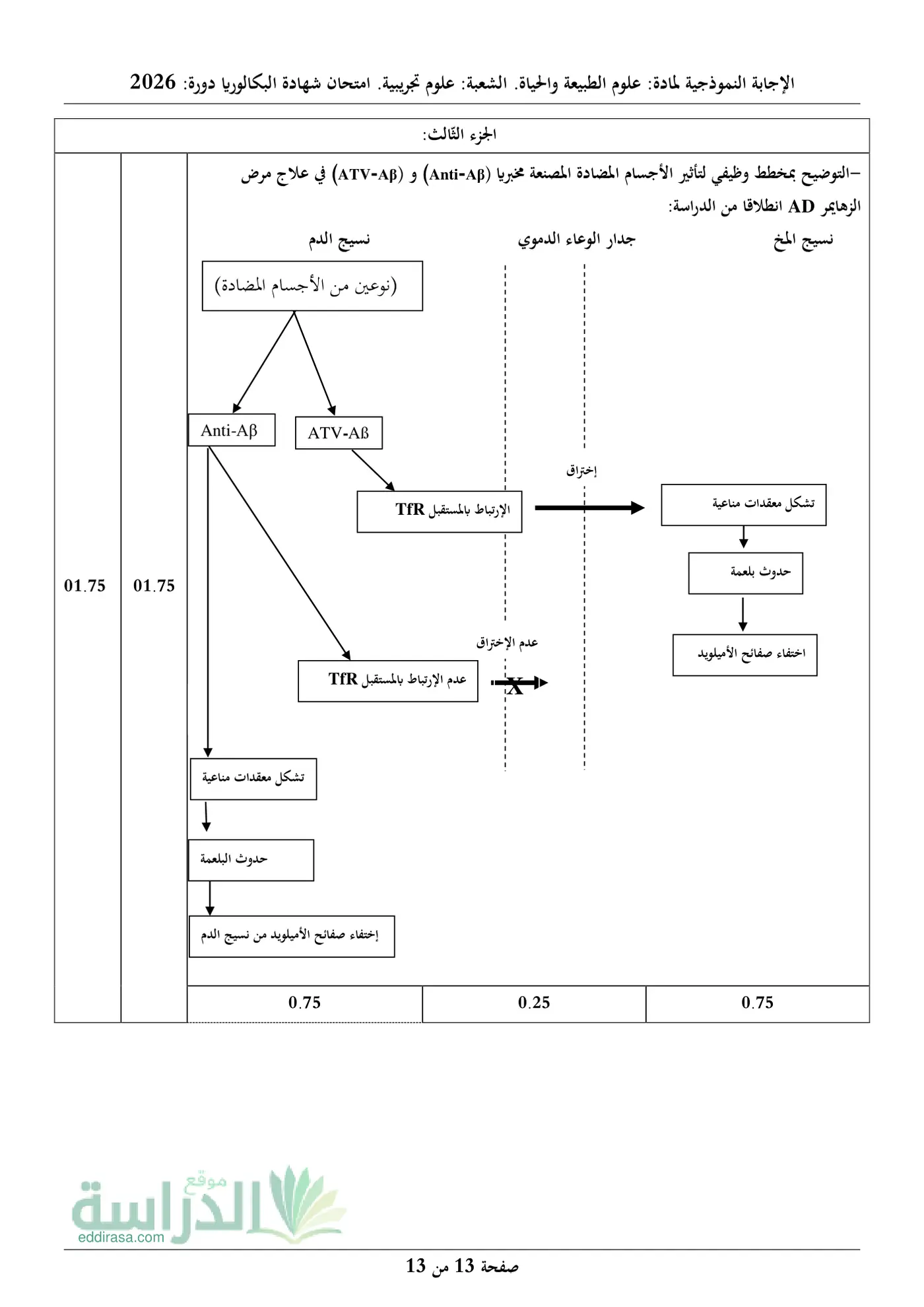 الصفحة 13 من 13