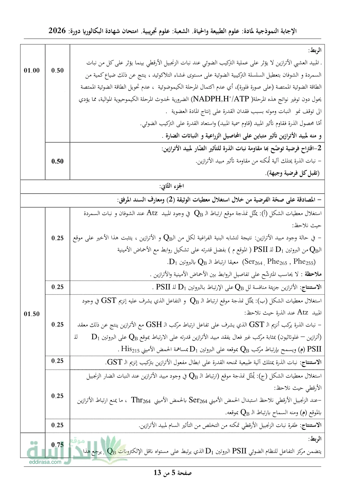 الصفحة 5 من 13