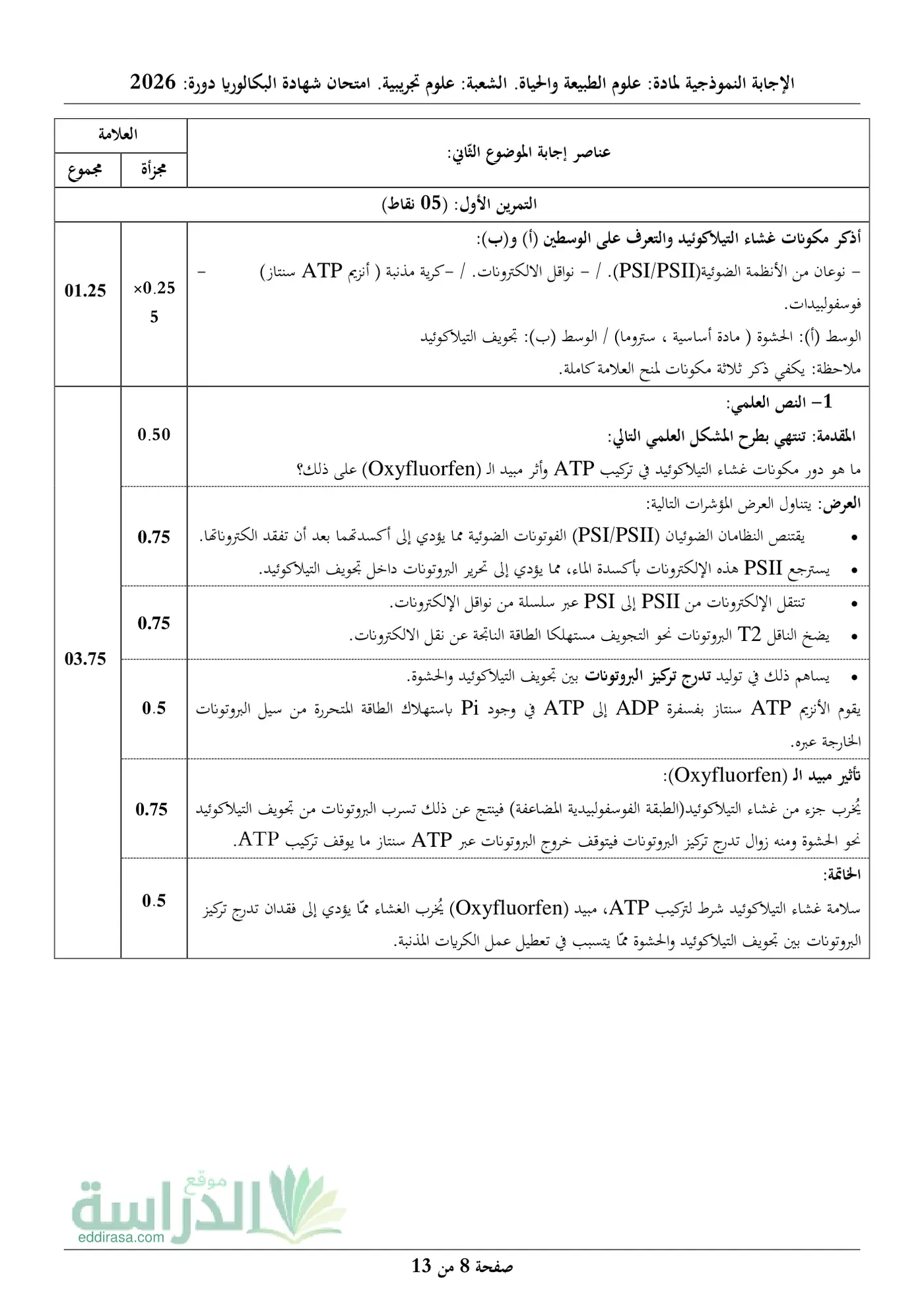 الصفحة 8 من 13