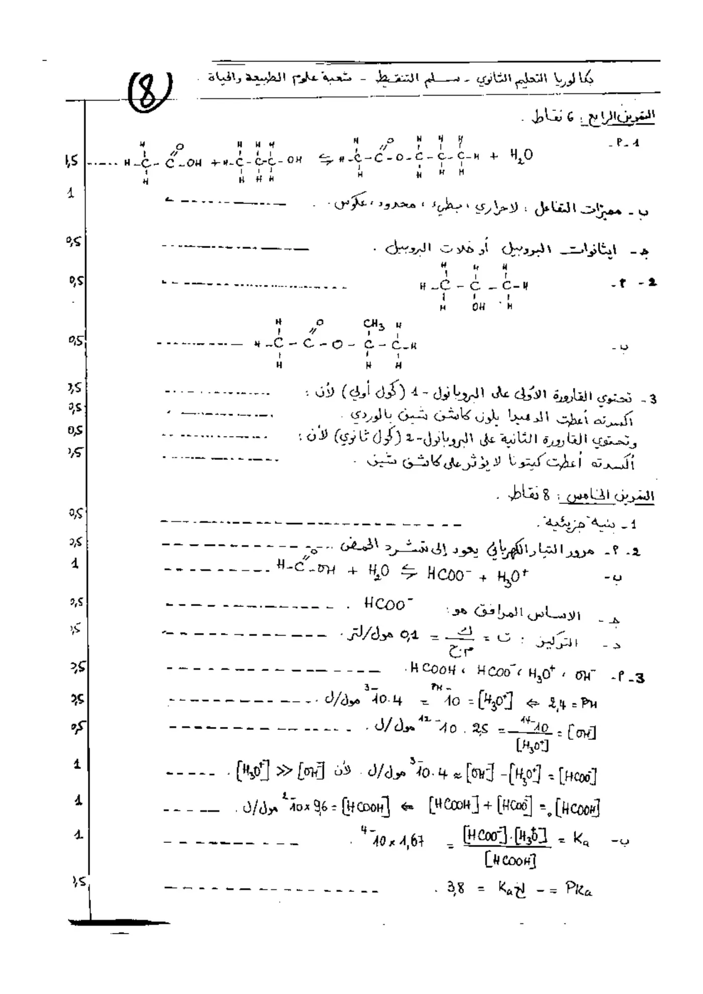 الصفحة 3 من 3