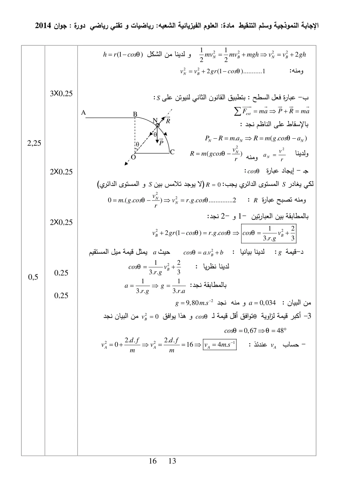 الصفحة 13 من 16