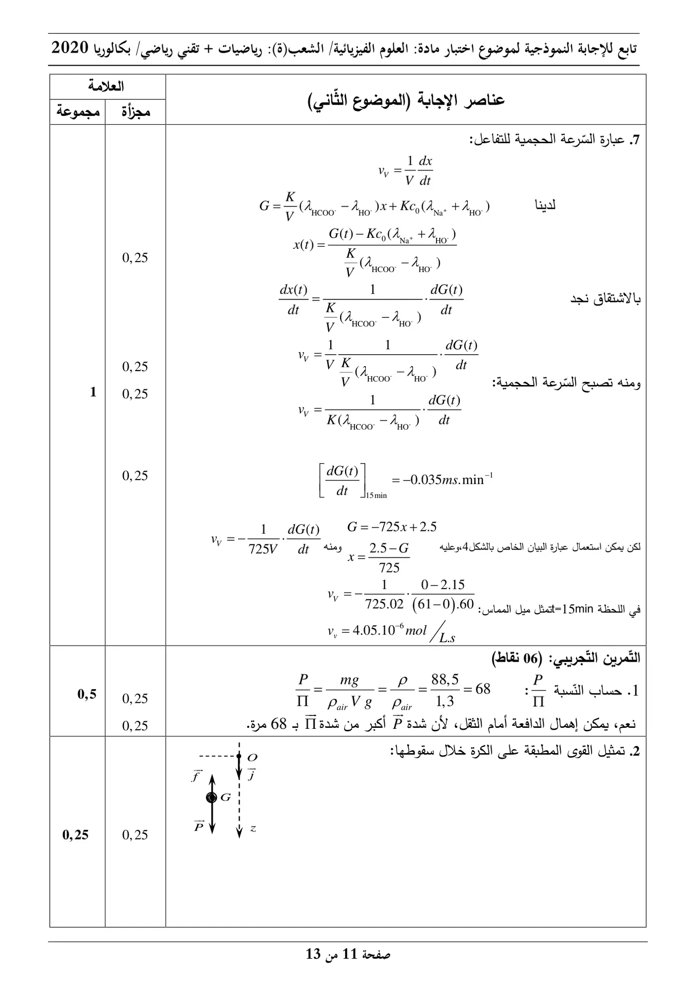 الصفحة 11 من 13