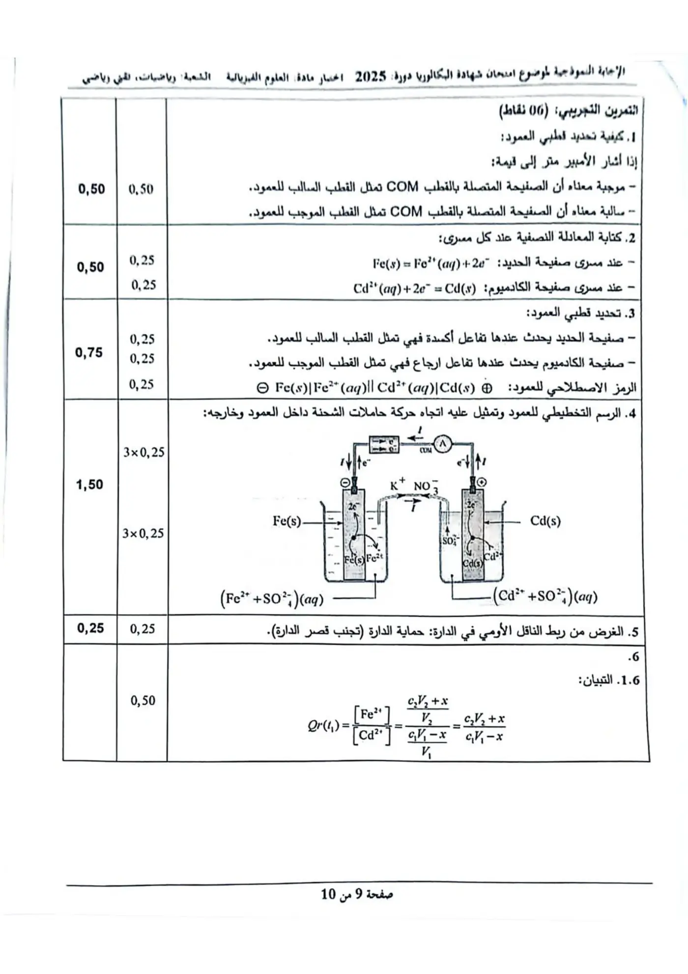 الصفحة 9 من 10