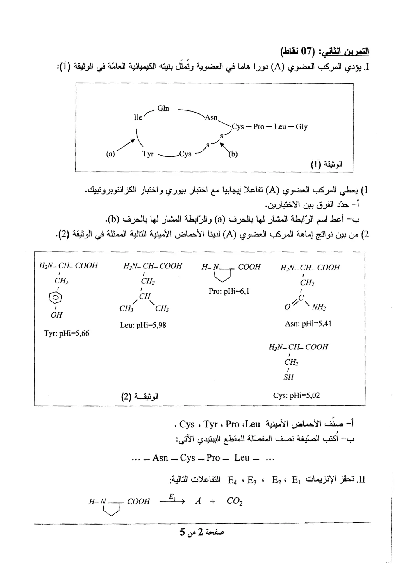 الصفحة 2 من 5