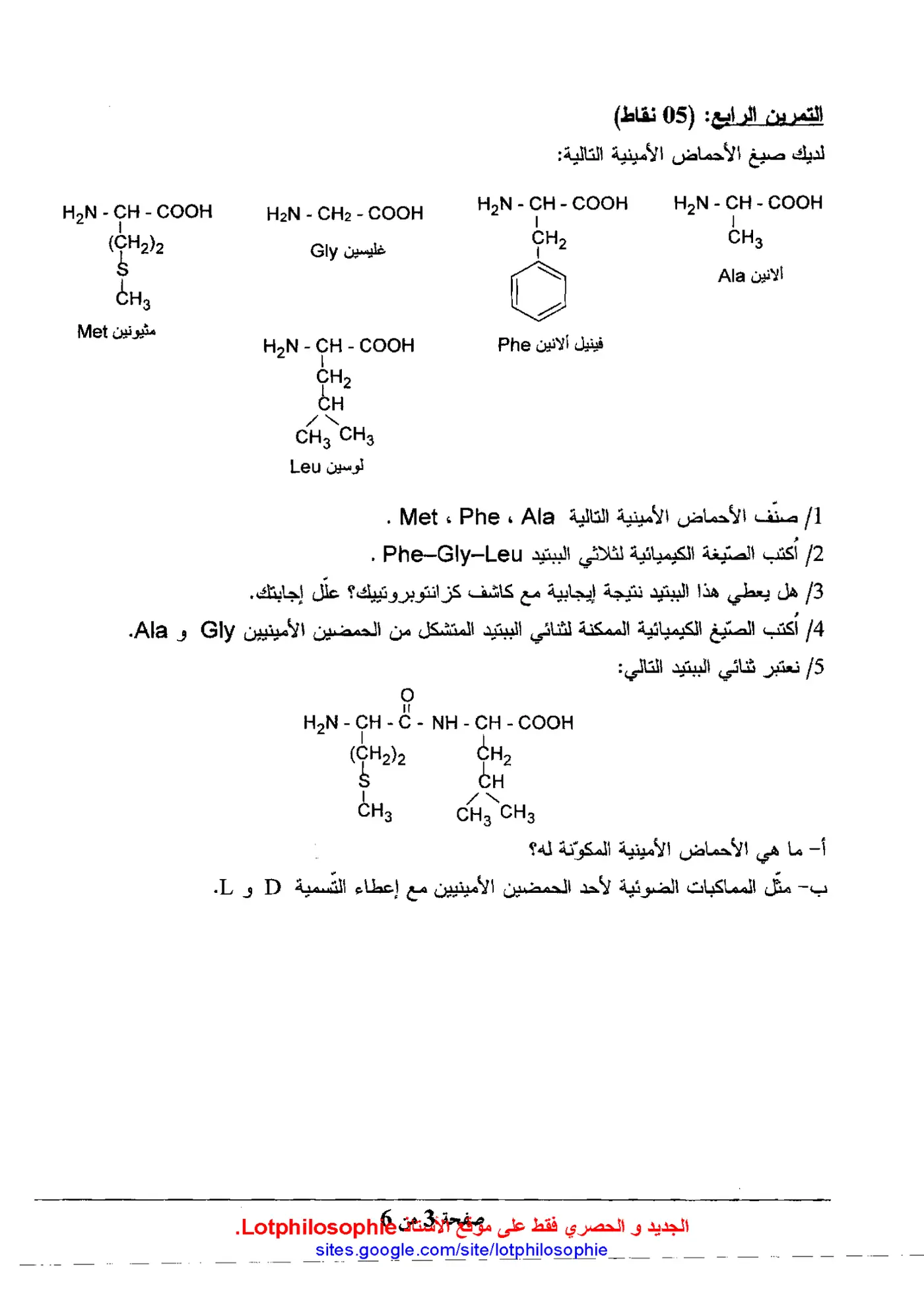 الصفحة 3 من 6