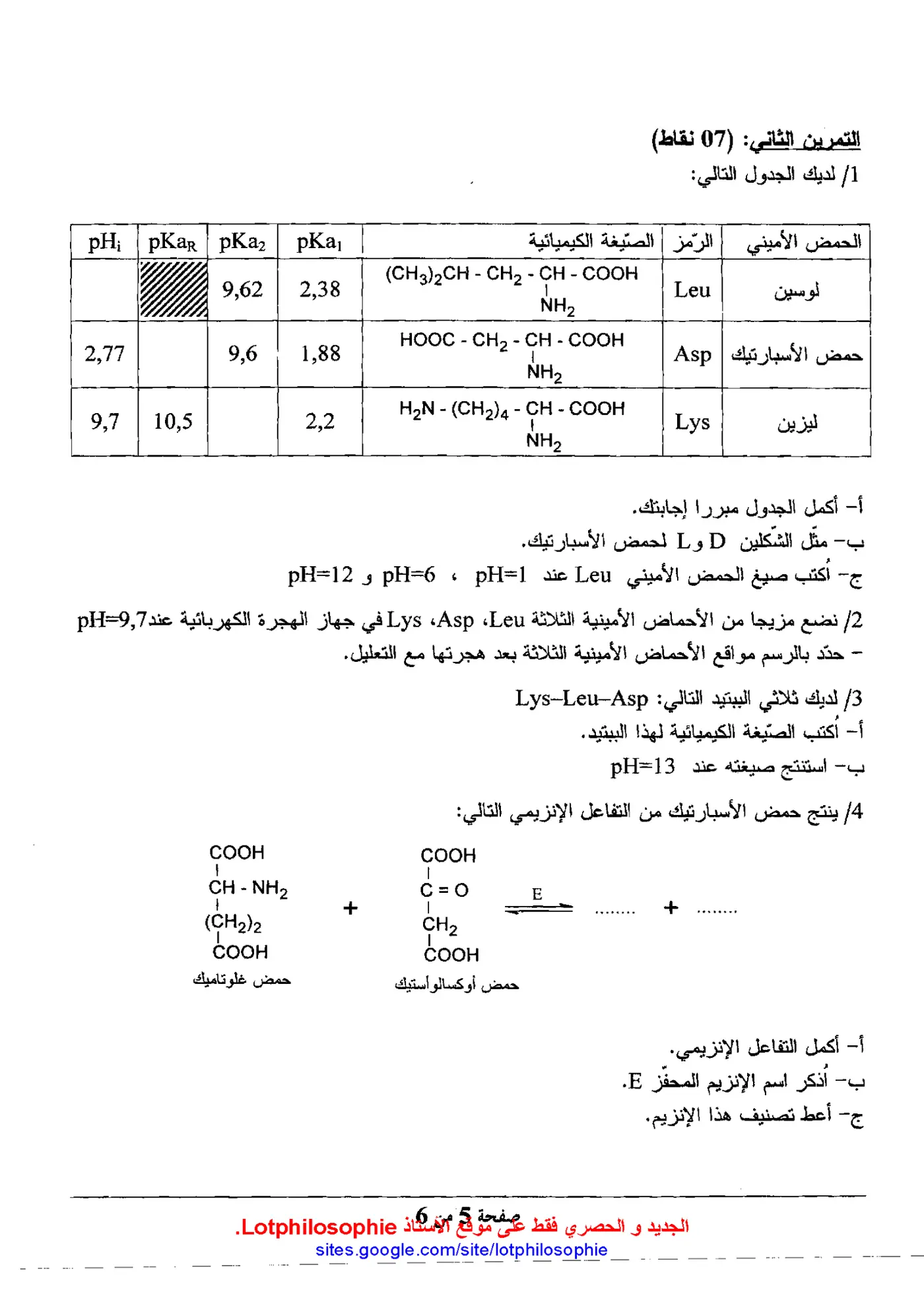 الصفحة 5 من 6
