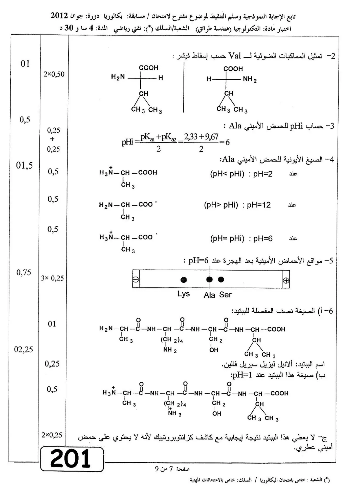 الصفحة 7 من 9