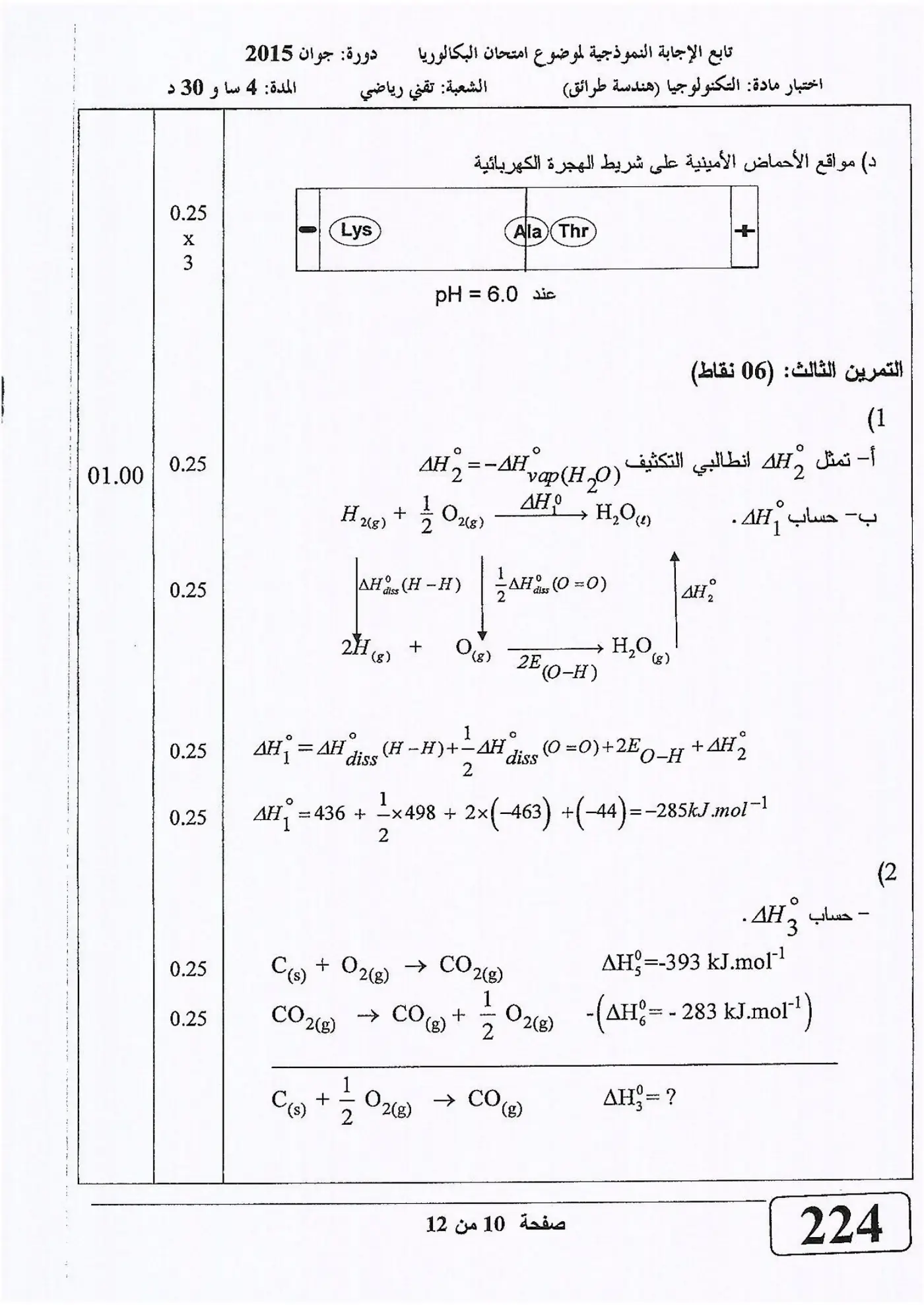 الصفحة 10 من 12