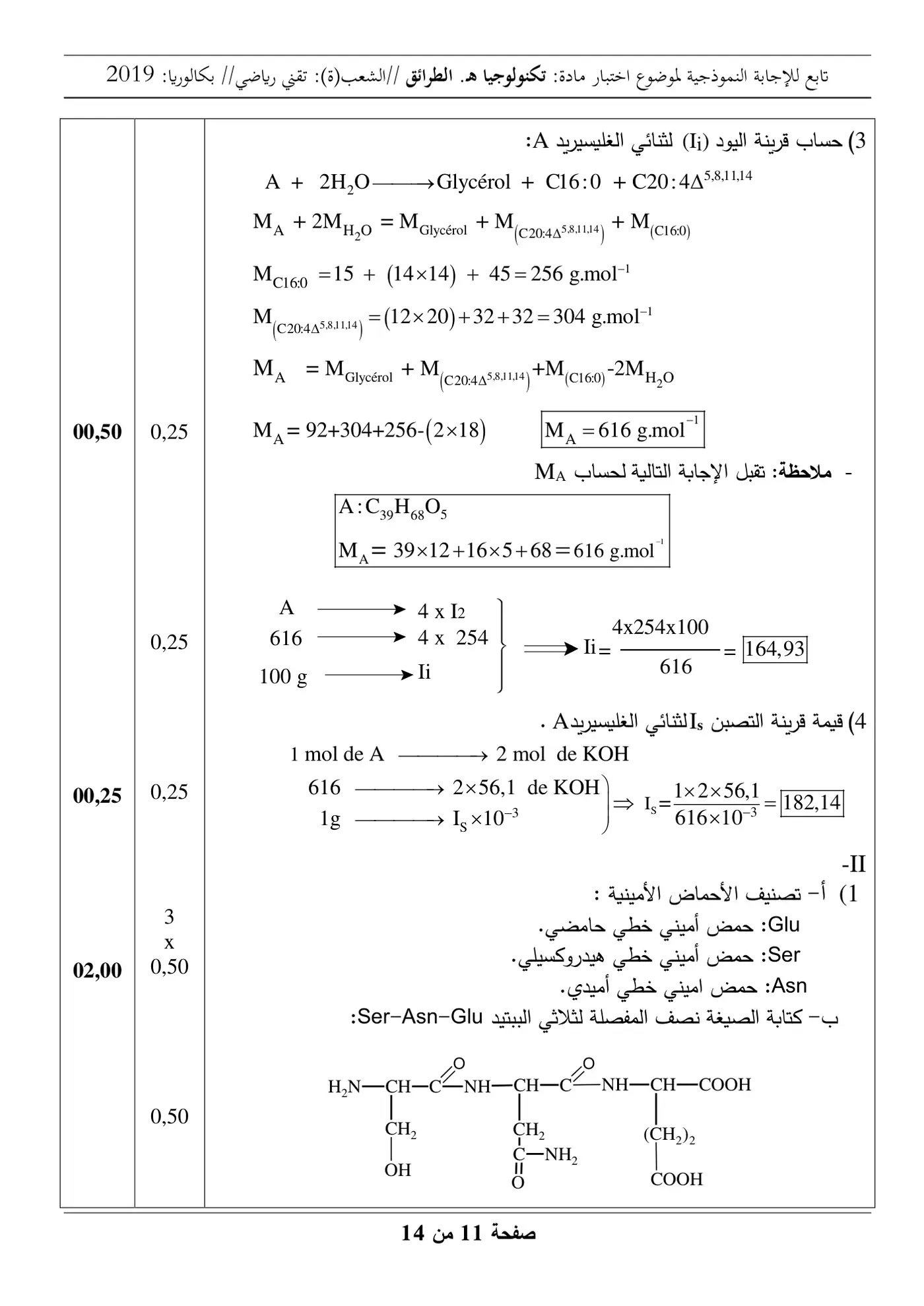 الصفحة 11 من 14