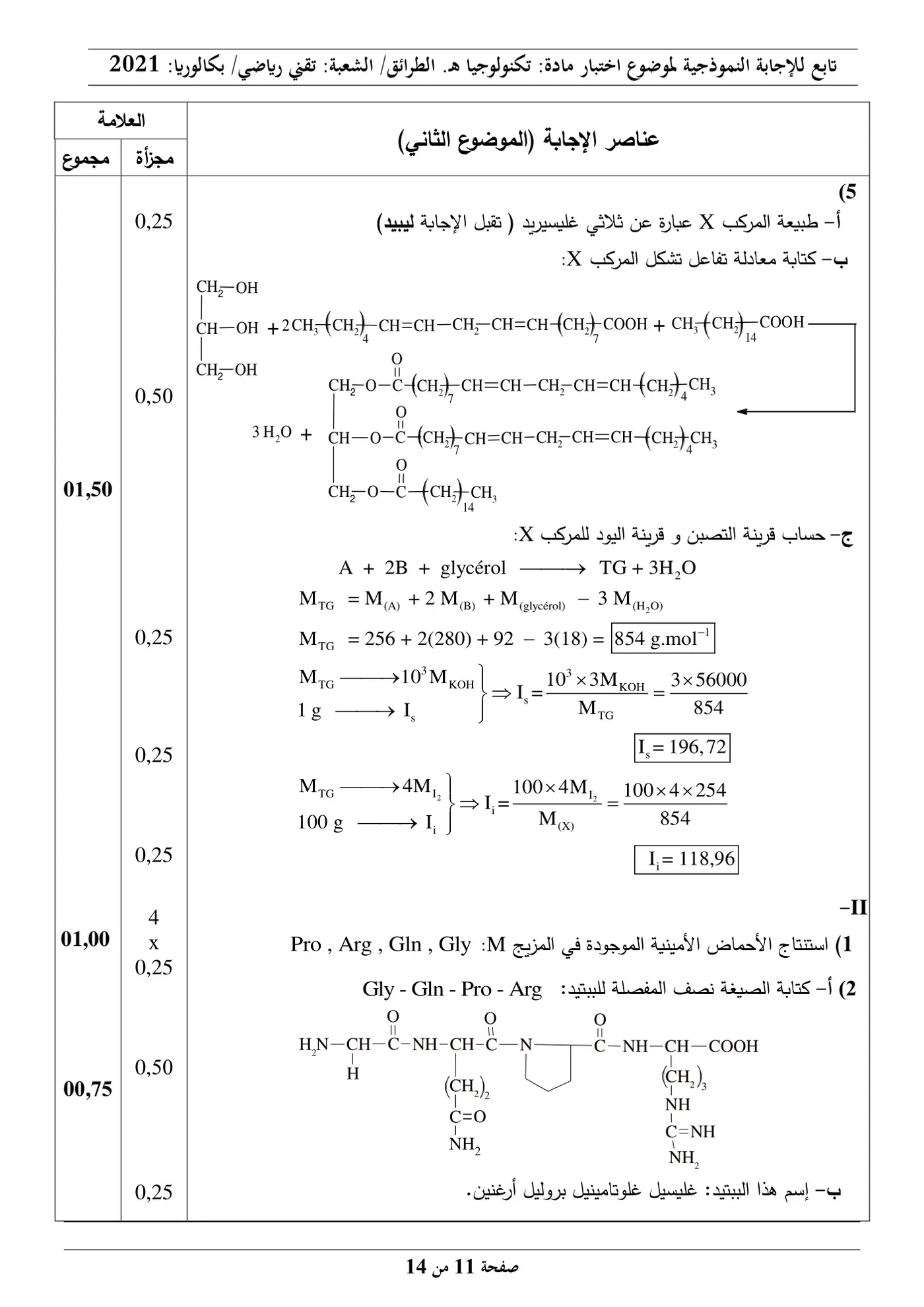 الصفحة 11 من 14