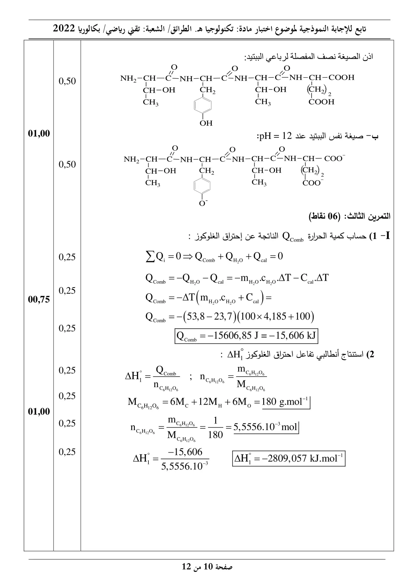 الصفحة 10 من 12
