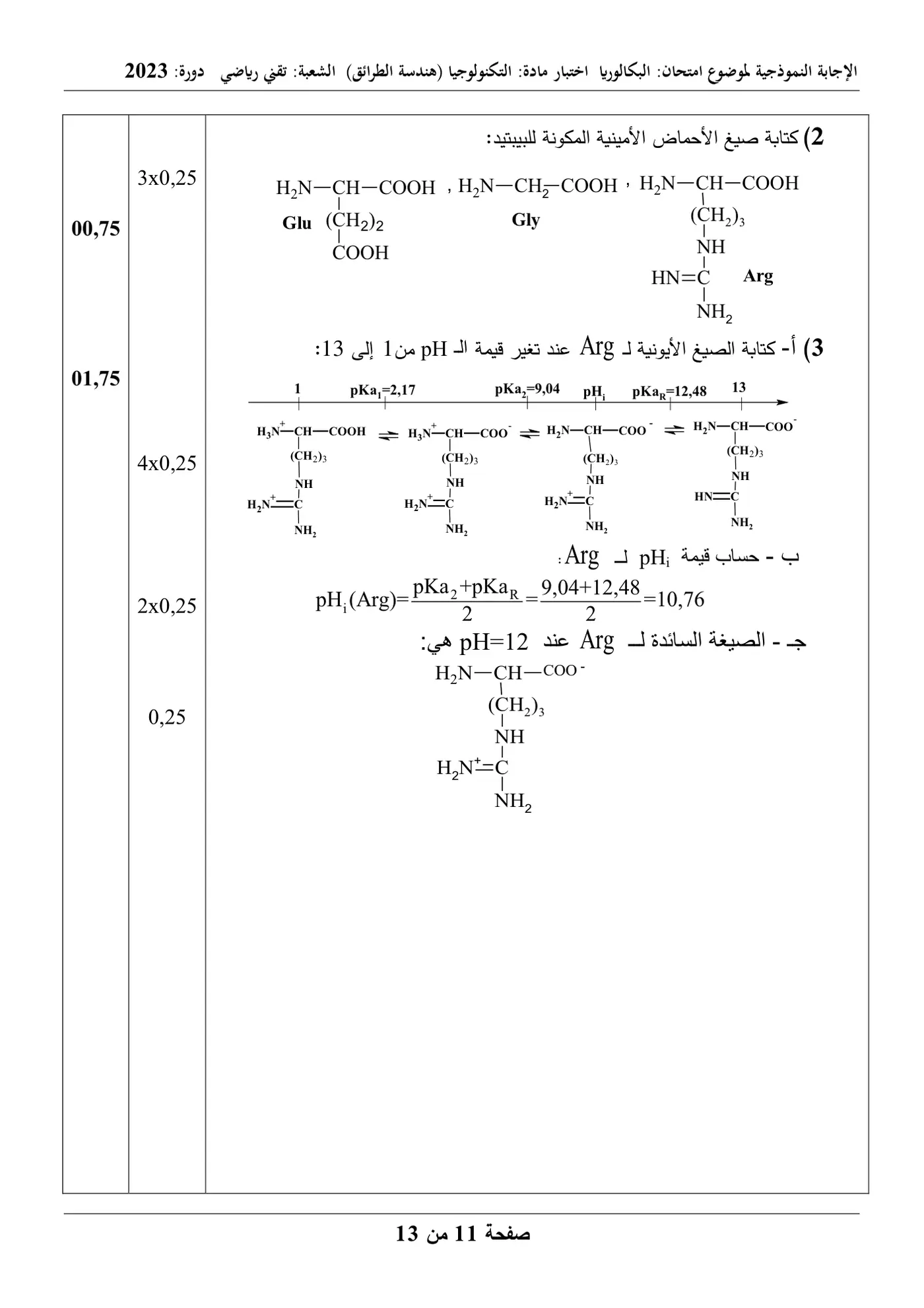 الصفحة 11 من 13