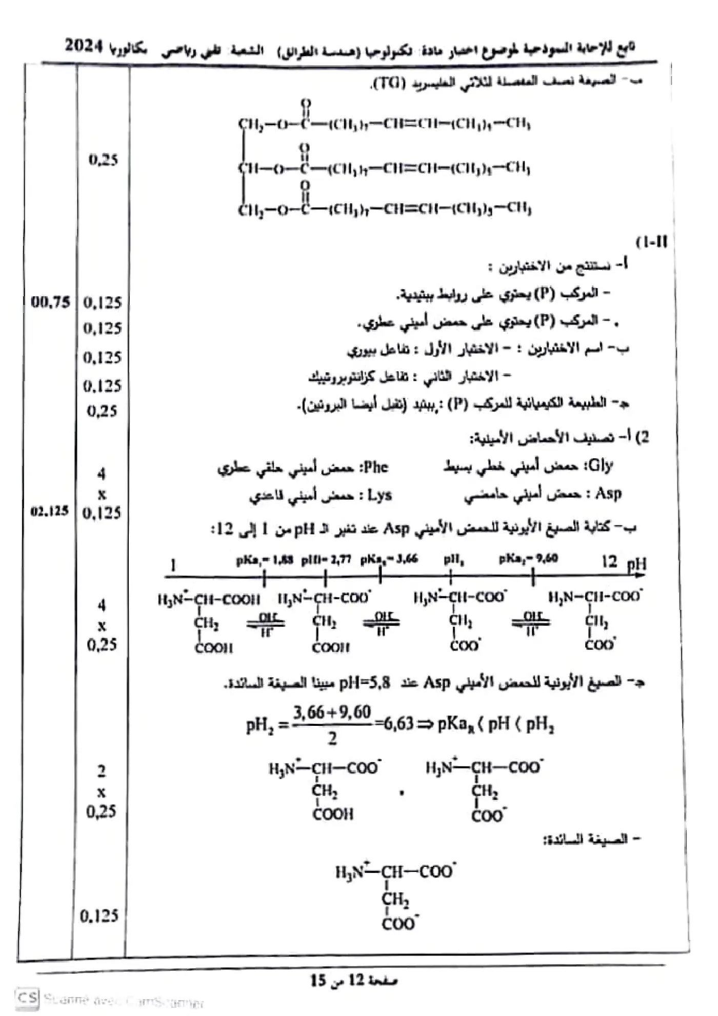 الصفحة 12 من 15