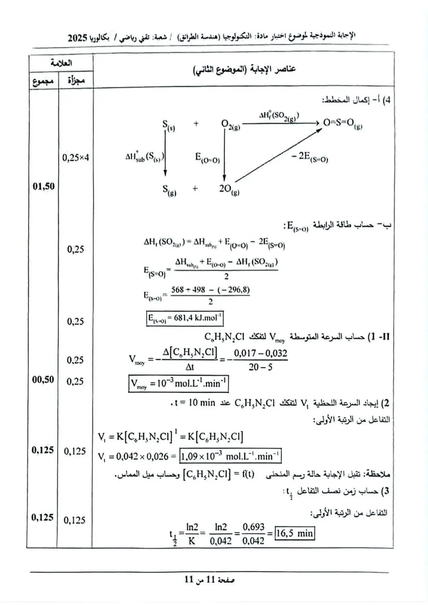 الصفحة 11 من 11