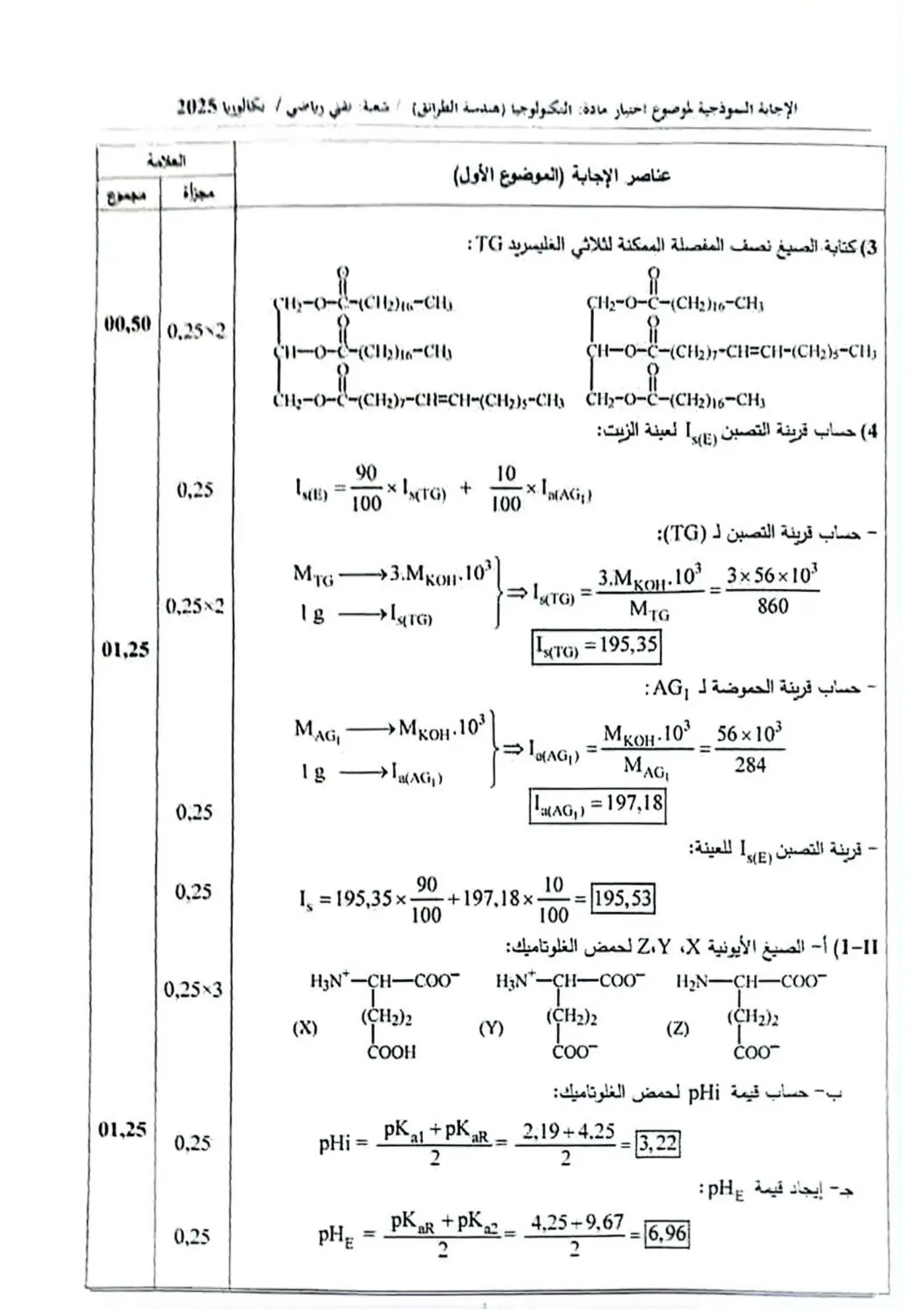 الصفحة 3 من 11