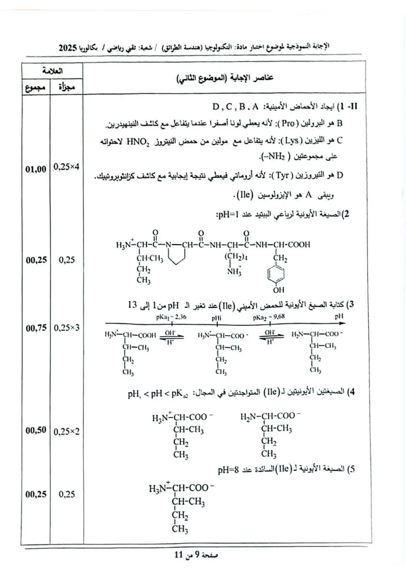 الصفحة 9 من 11